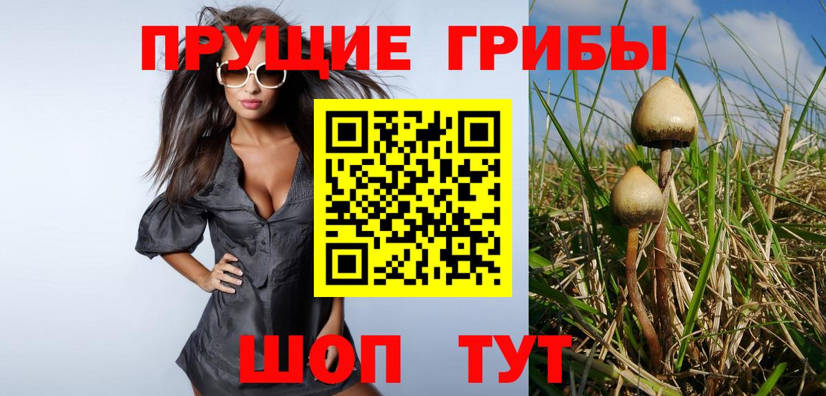 Псилоцибиновые грибы прущие грибы Севастополь